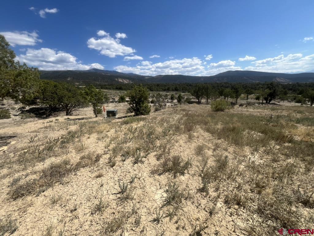 Tbd Buckhorn Road Montrose CO 81403