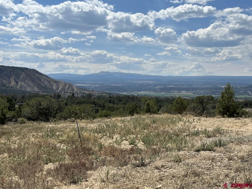 Tbd Buckhorn Road Montrose CO 81403