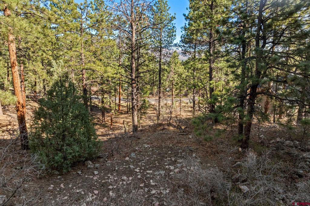 47 Ambush Canyon Durango CO 81301