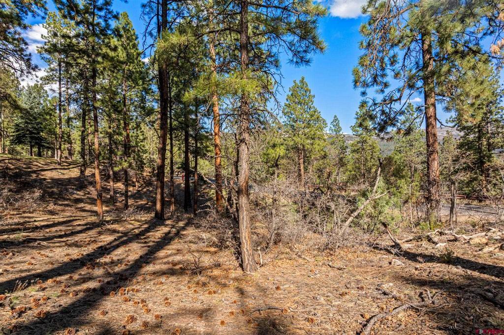 47 Ambush Canyon Durango CO 81301