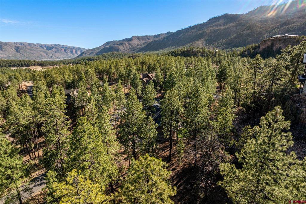 47 Ambush Canyon Durango CO 81301
