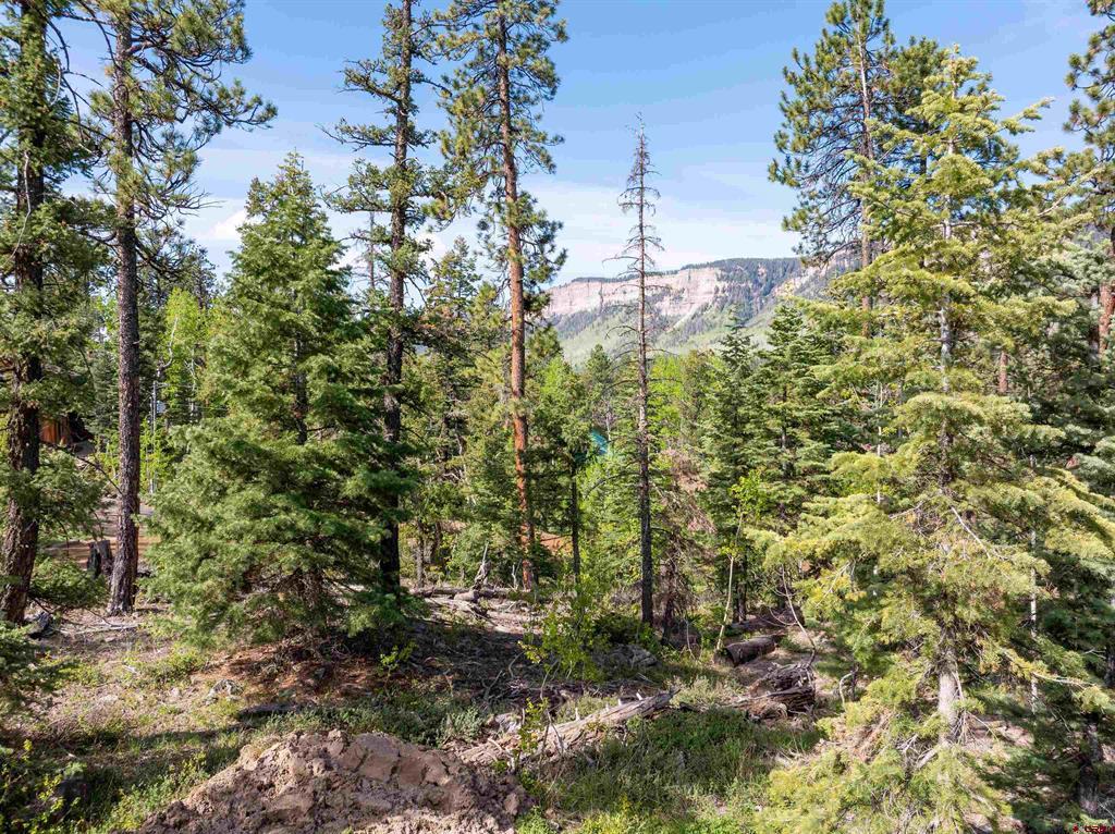 1950 Lake Purgatory Drive Durango CO 81301