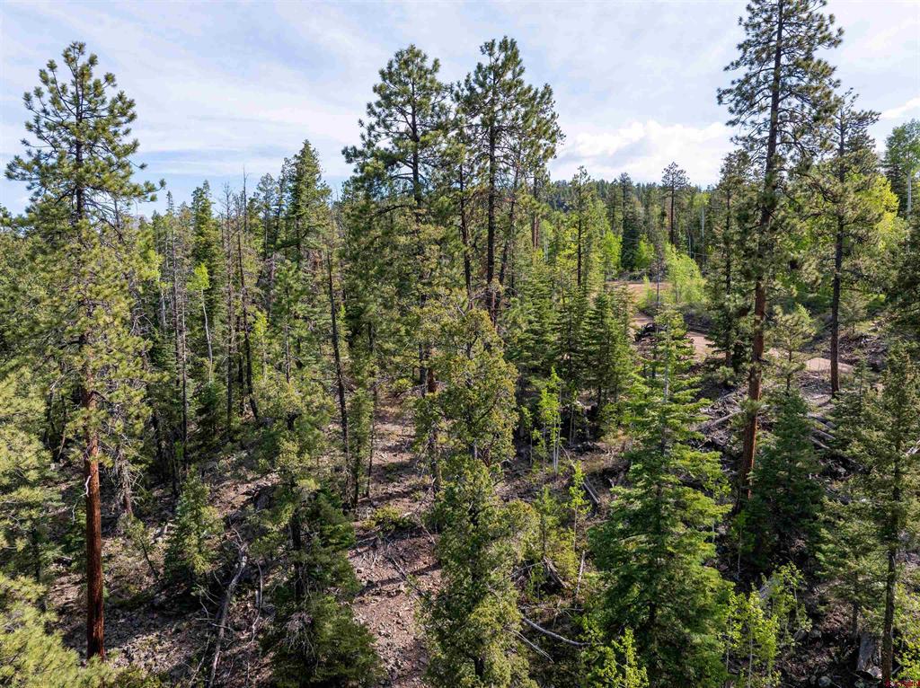 1950 Lake Purgatory Drive Durango CO 81301