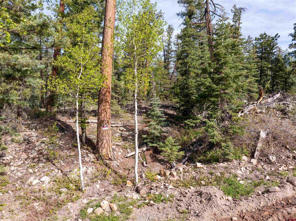 1950 Lake Purgatory Drive Durango CO 81301