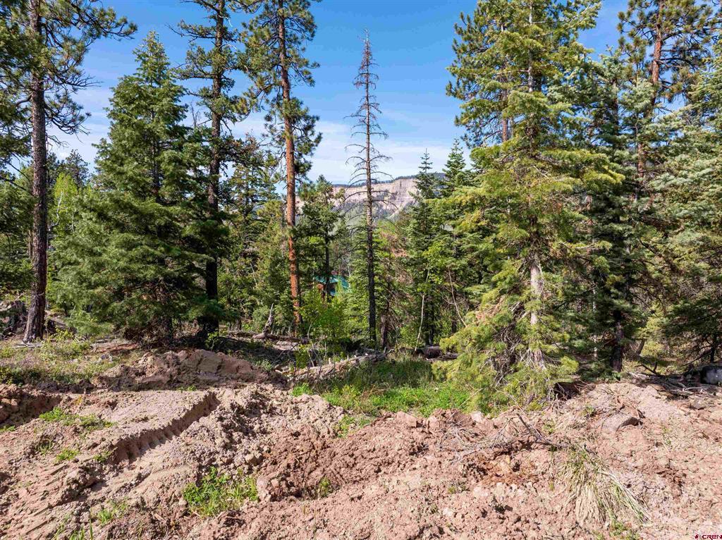 1950 Lake Purgatory Drive Durango CO 81301