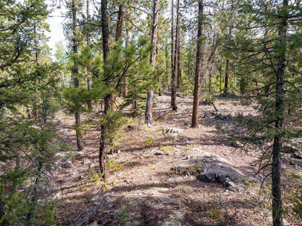 1950 Lake Purgatory Drive Durango CO 81301
