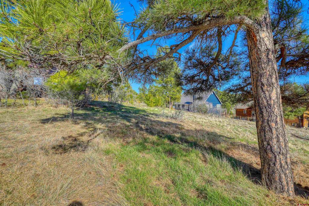 51 Trap Court Pagosa Springs CO 81147