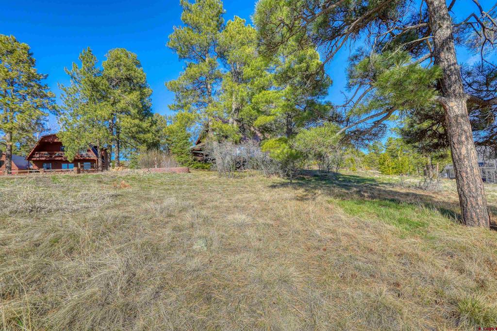 51 Trap Court Pagosa Springs CO 81147