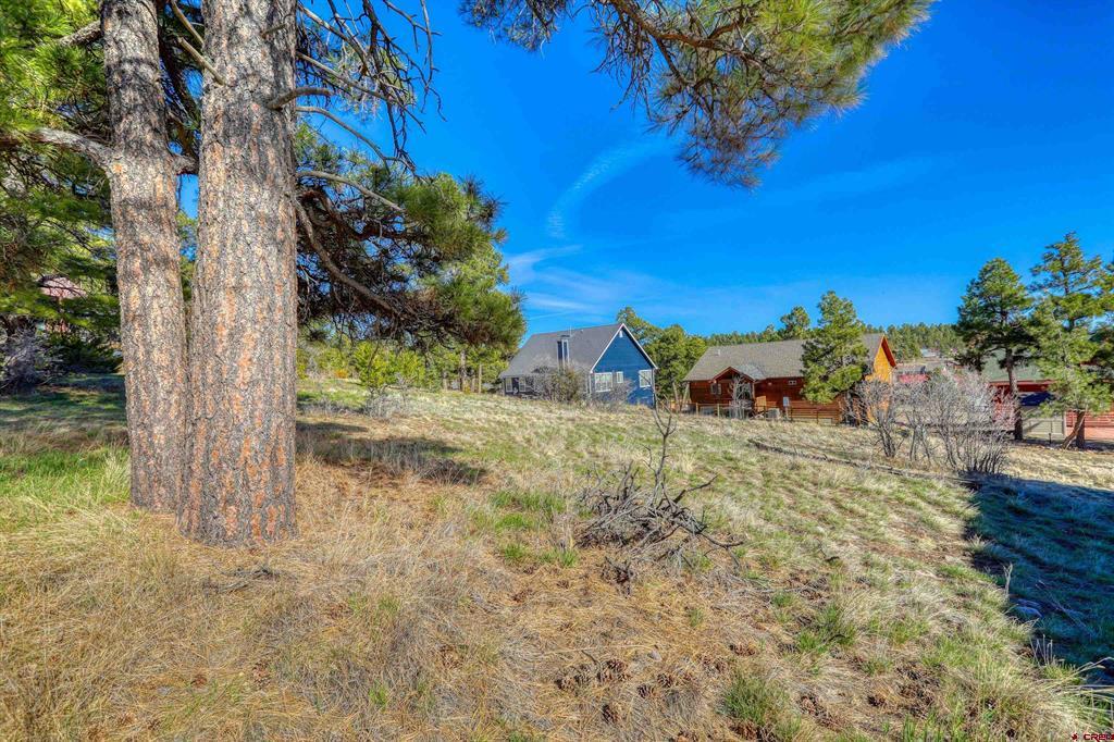 51 Trap Court Pagosa Springs CO 81147