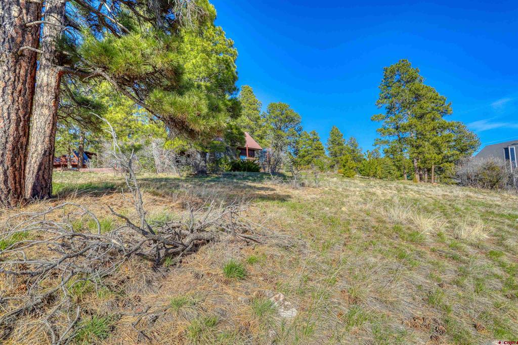 51 Trap Court Pagosa Springs CO 81147