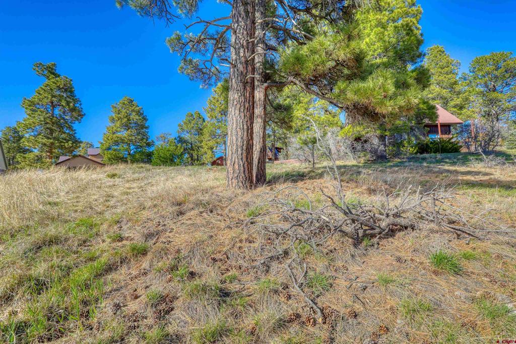 51 Trap Court Pagosa Springs CO 81147