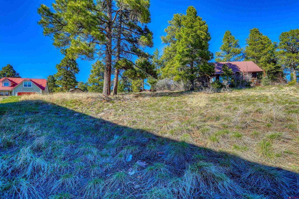 51 Trap Court Pagosa Springs CO 81147