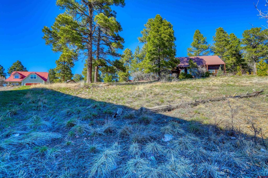 51 Trap Court Pagosa Springs CO 81147