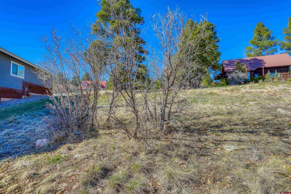 51 Trap Court Pagosa Springs CO 81147