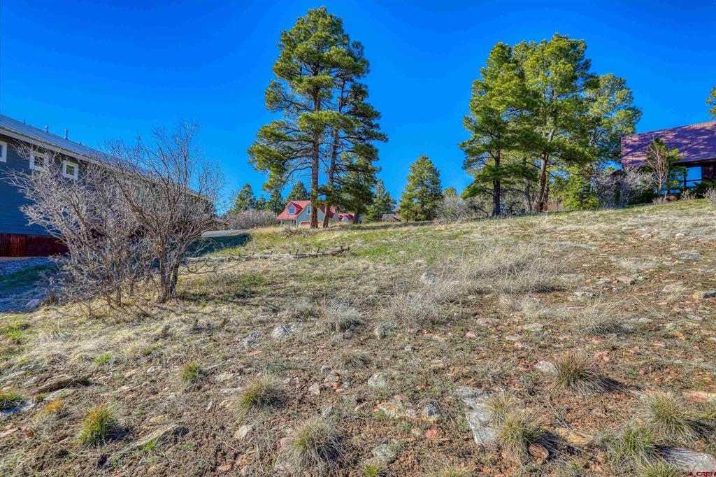 51 Trap Court Pagosa Springs CO 81147