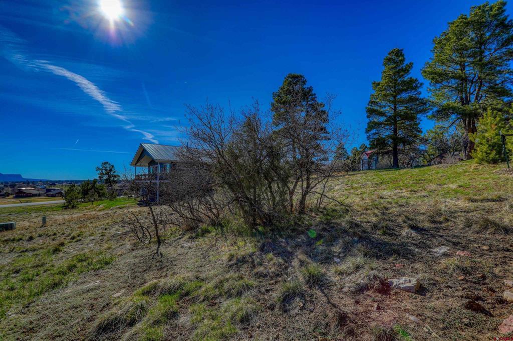 51 Trap Court Pagosa Springs CO 81147
