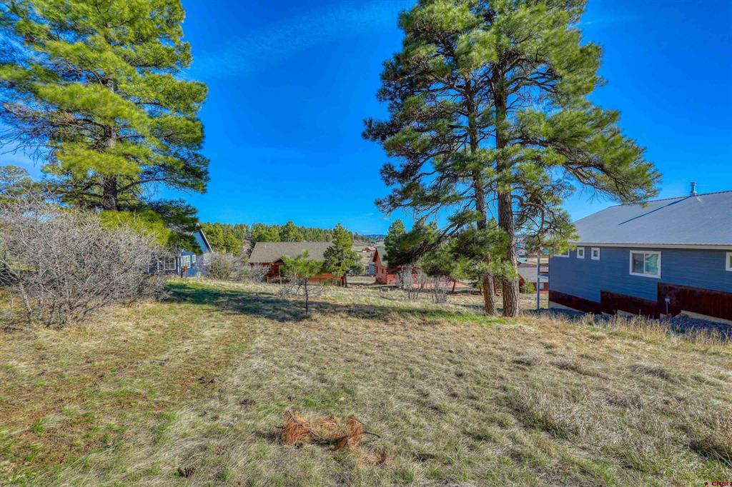 51 Trap Court Pagosa Springs CO 81147