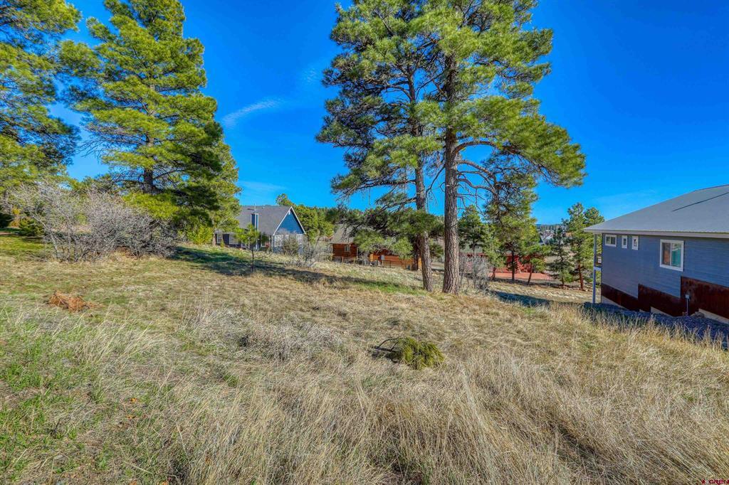 51 Trap Court Pagosa Springs CO 81147