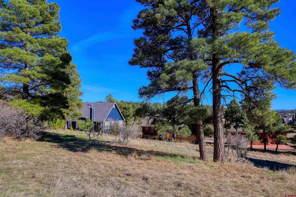 51 Trap Court Pagosa Springs CO 81147