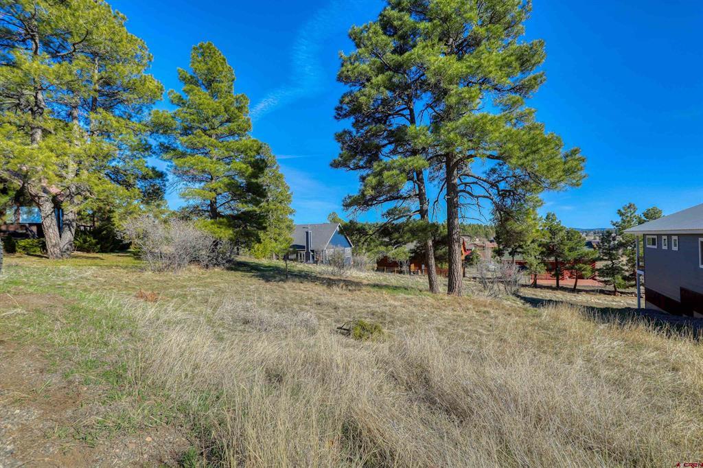 51 Trap Court Pagosa Springs CO 81147