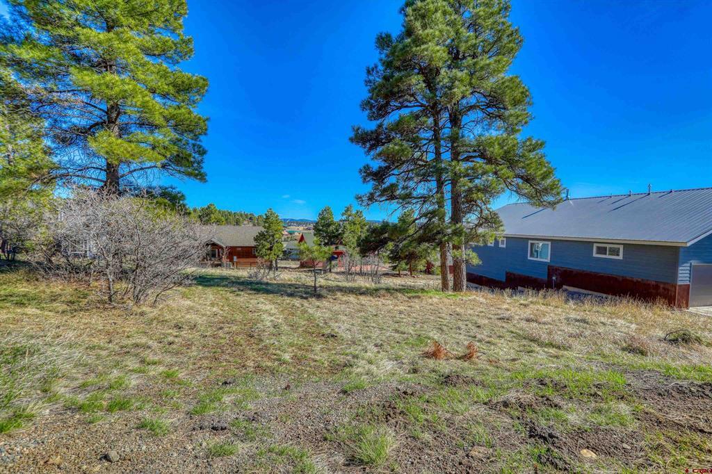 51 Trap Court Pagosa Springs CO 81147