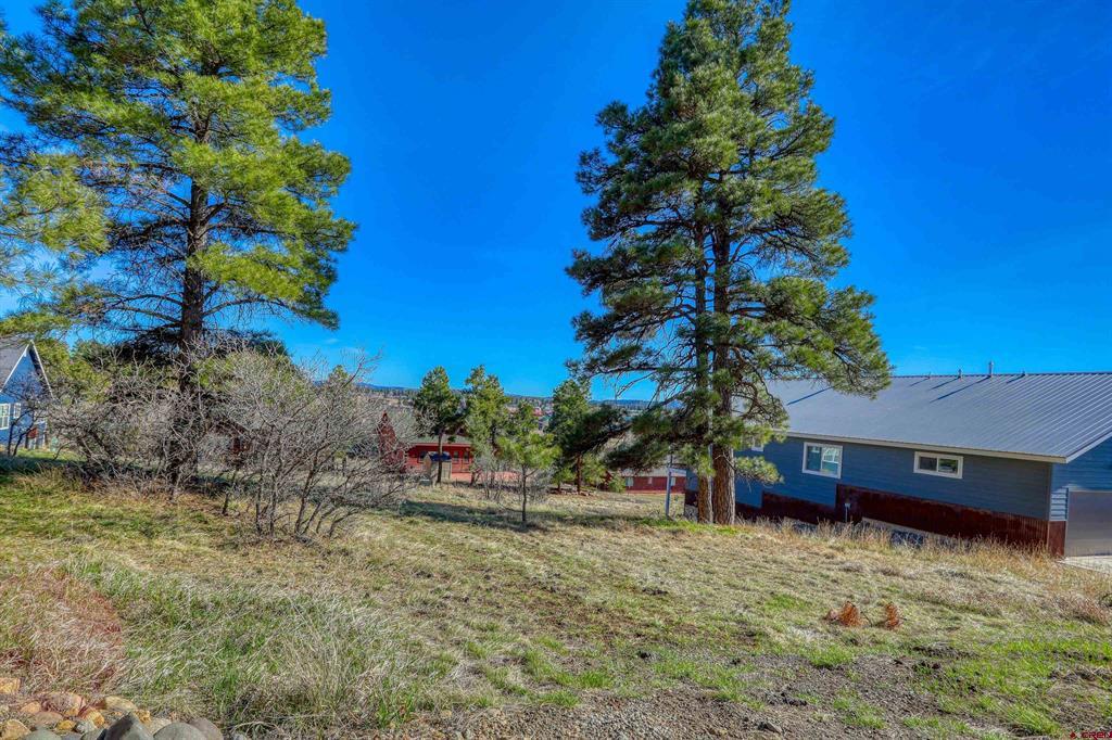 51 Trap Court Pagosa Springs CO 81147