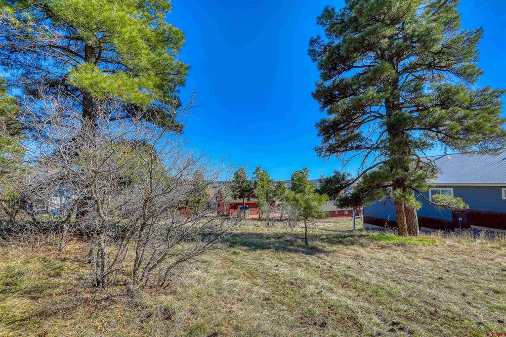 51 Trap Court Pagosa Springs CO 81147