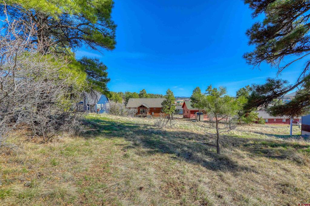 51 Trap Court Pagosa Springs CO 81147