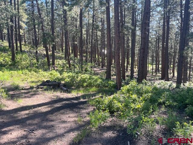 2221 Bear Creek Road Bayfield CO 81122