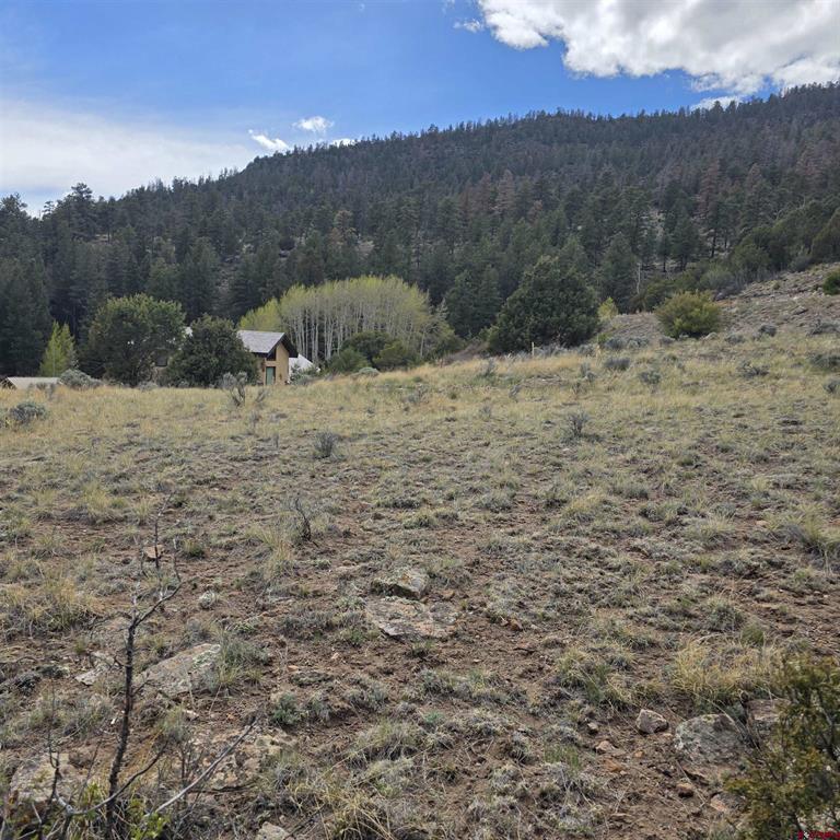 366 Timberline Trail South Fork CO 81154