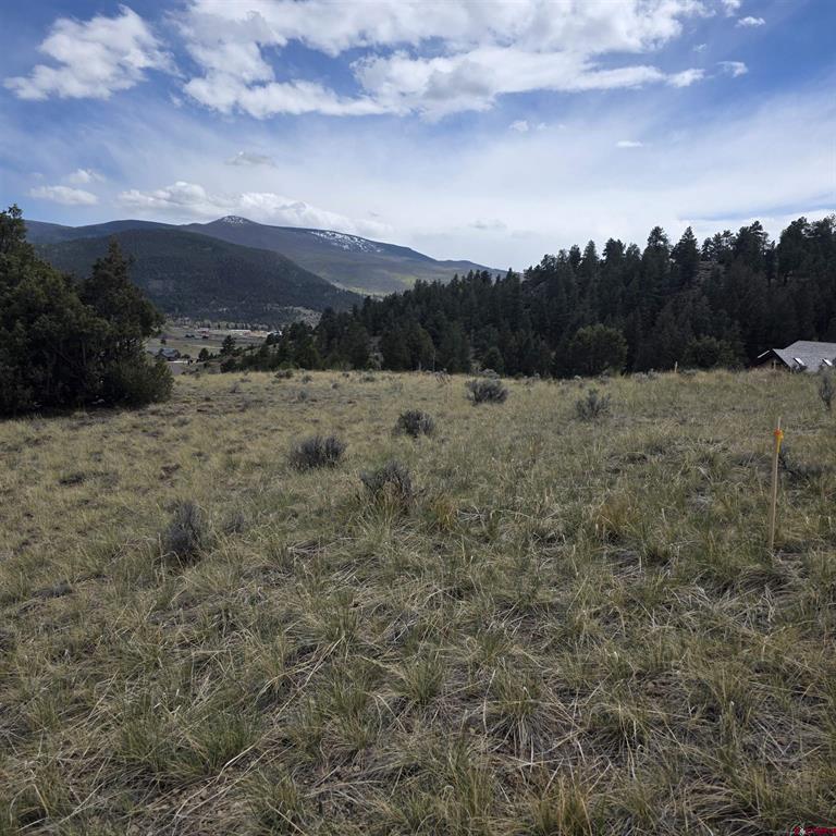 366 Timberline Trail South Fork CO 81154