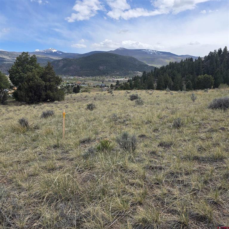 366 Timberline Trail South Fork CO 81154