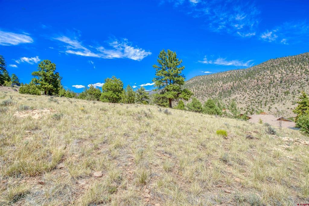 366 Timberline Trail South Fork CO 81154