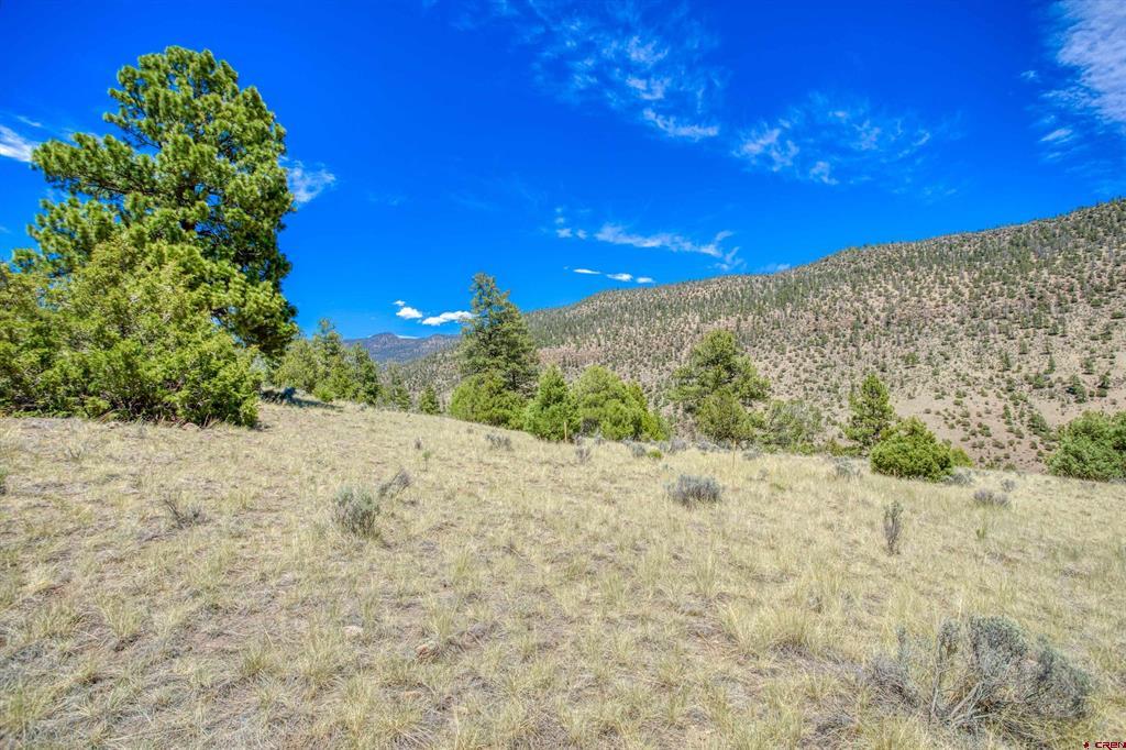 366 Timberline Trail South Fork CO 81154