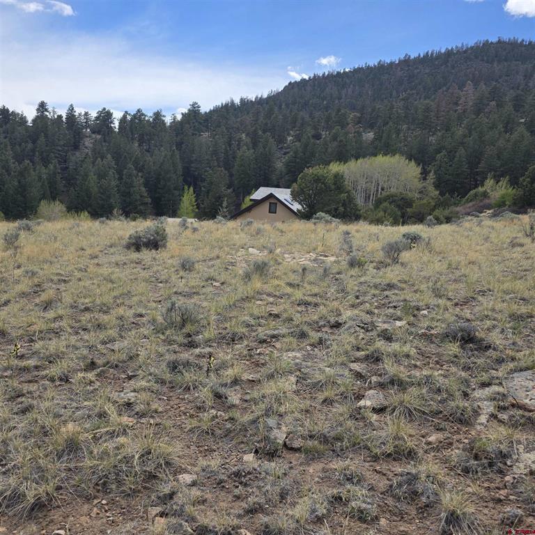 366 Timberline Trail South Fork CO 81154