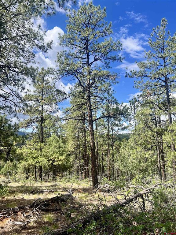 75 Rocky Ridge 2 Pagosa Springs CO 81147