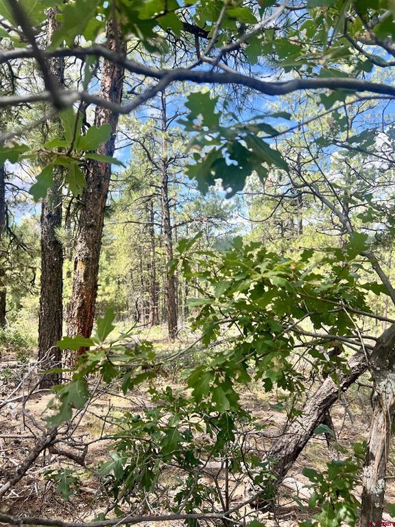 75 Rocky Ridge 2 Pagosa Springs CO 81147