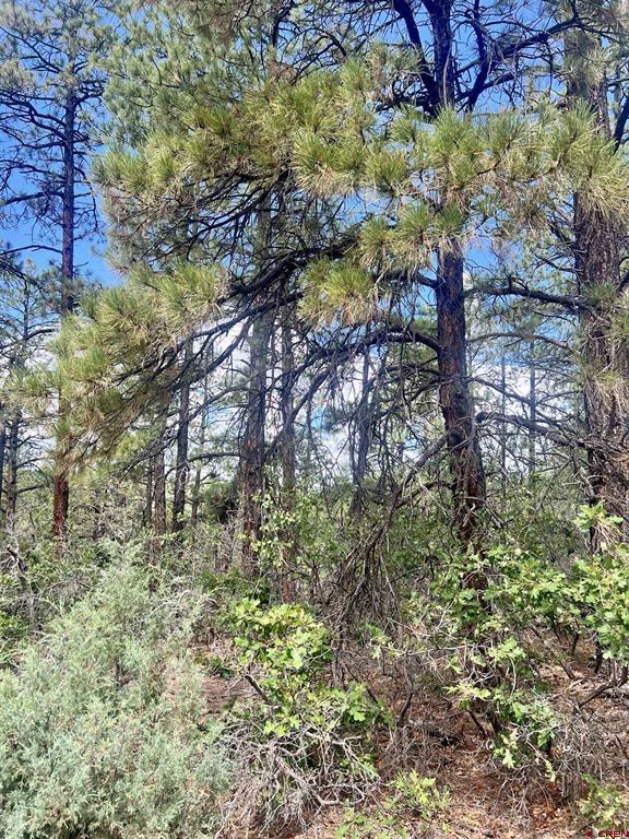 75 Rocky Ridge 2 Pagosa Springs CO 81147