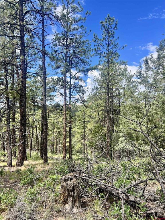 75 Rocky Ridge 2 Pagosa Springs CO 81147