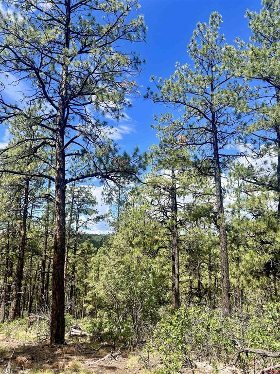 75 Rocky Ridge 2 Pagosa Springs CO 81147