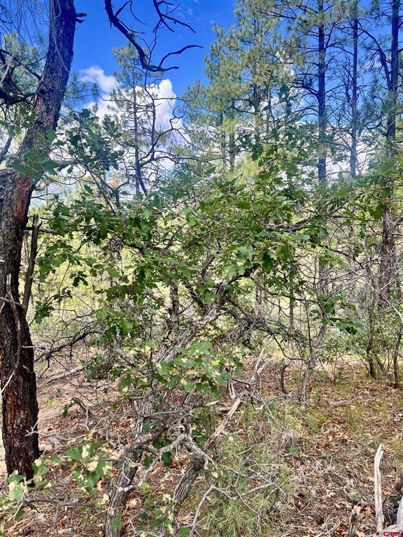 75 Rocky Ridge 2 Pagosa Springs CO 81147
