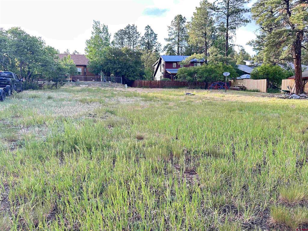 154 Dayspring Place Pagosa Springs CO 81147