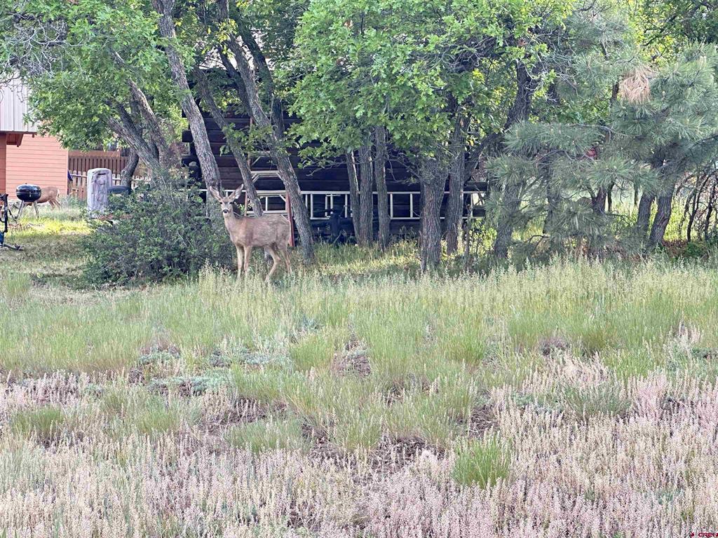 154 Dayspring Place Pagosa Springs CO 81147