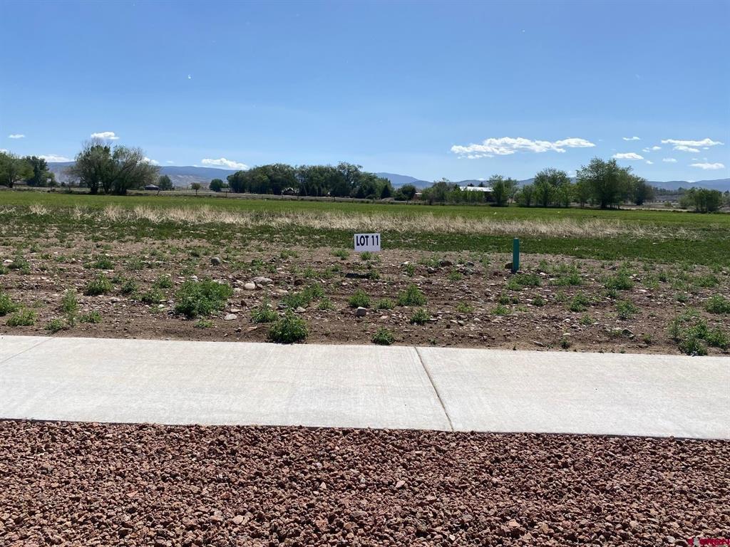 Lot 11 6700 Road Montrose CO 81401