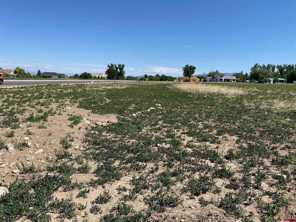Lot 11 6700 Road Montrose CO 81401