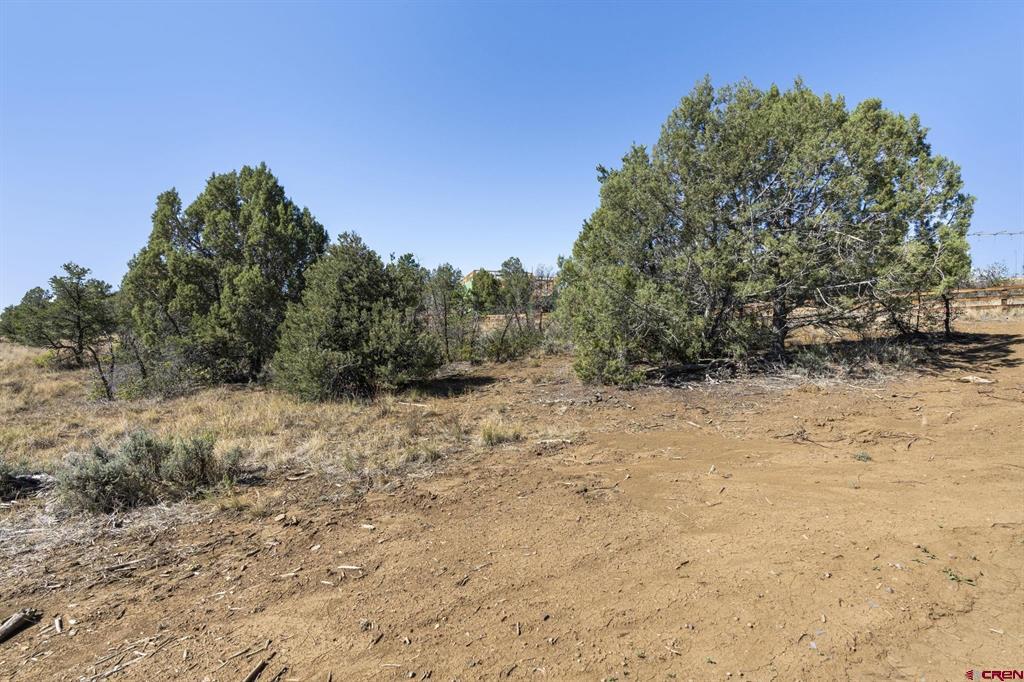 75 Salt Brush Street Durango CO 81301