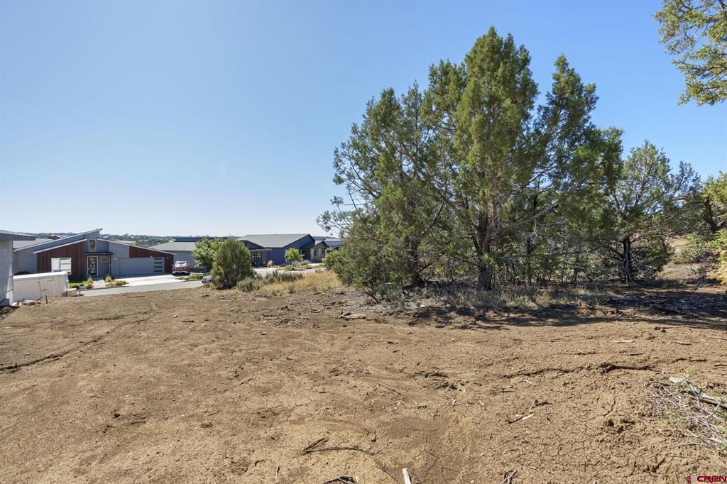 75 Salt Brush Street Durango CO 81301