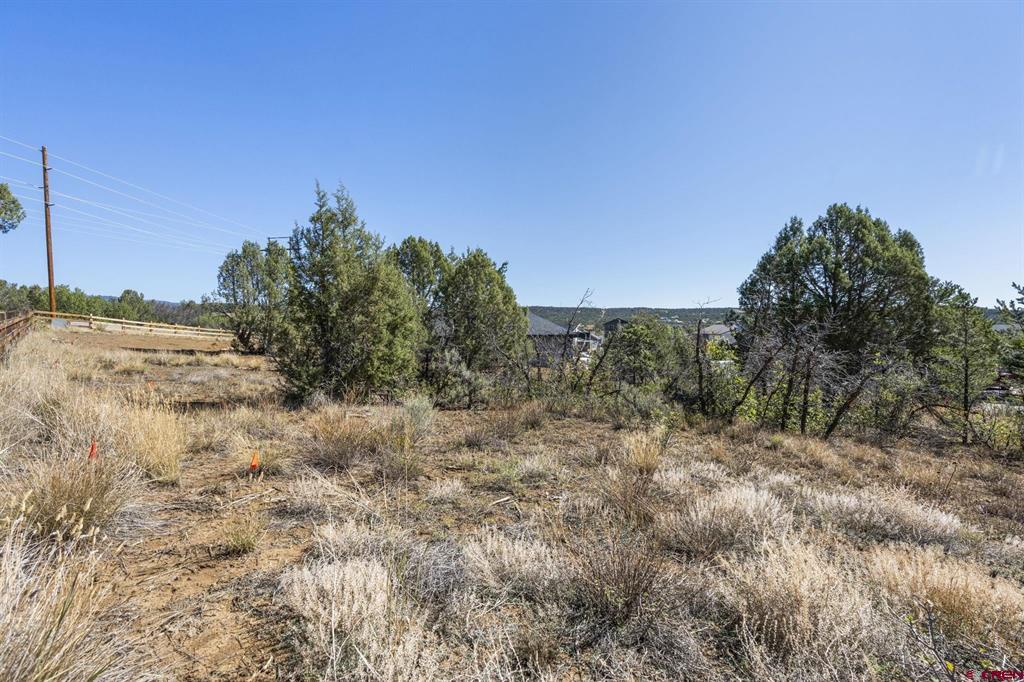 75 Salt Brush Street Durango CO 81301