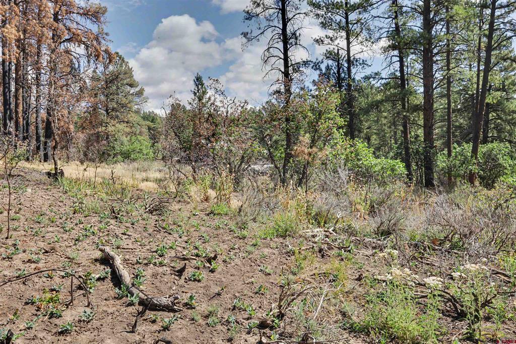 226 Windmill Place Pagosa Springs CO 81147