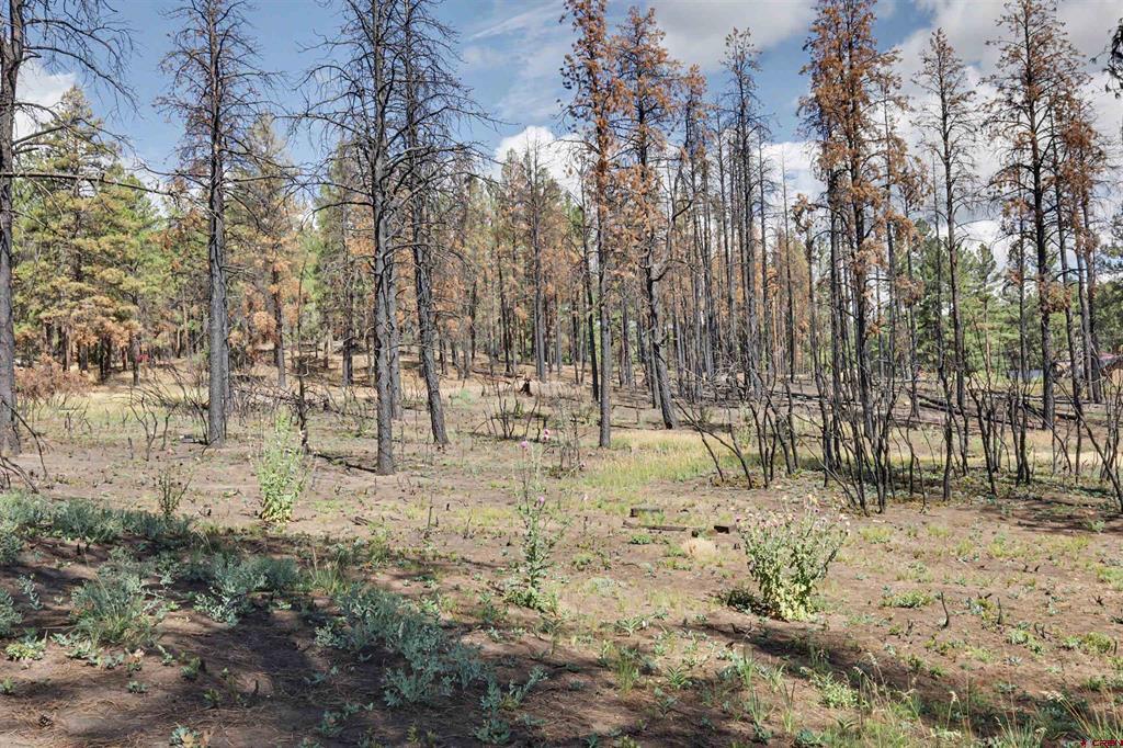 226 Windmill Place Pagosa Springs CO 81147
